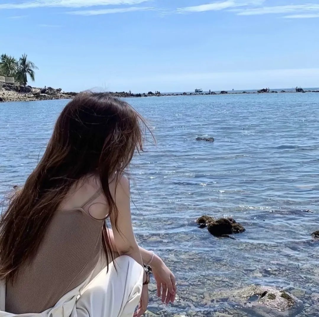 海豚之日