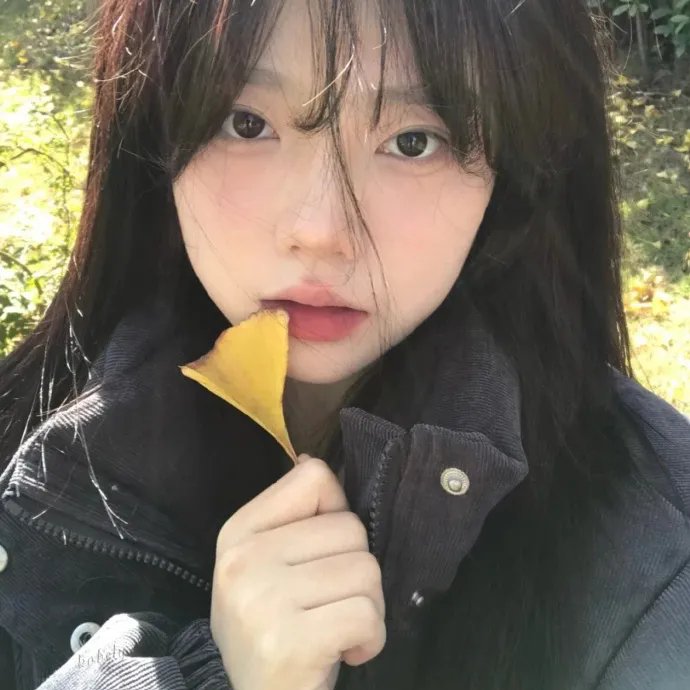 极地先锋